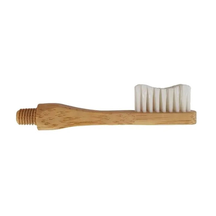 Tête brosse à dent en bambou interchangeable